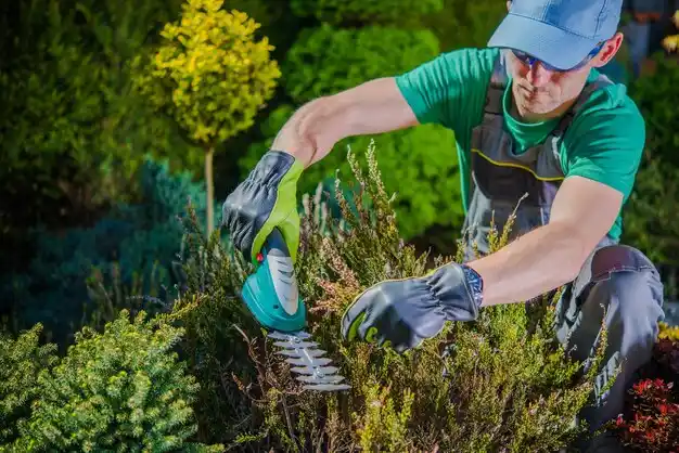landscaping services Great Neck